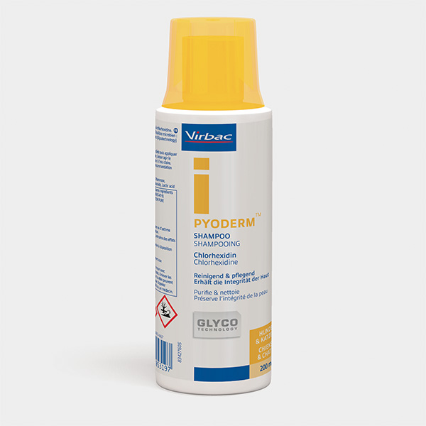 Virbac chlorhexidine shampoo sale
